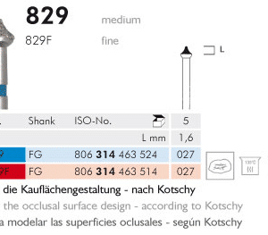 Meisinger Diamond Anatomy 829F FG Fine 027