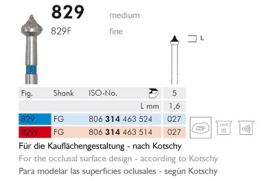 Meisinger Diamond Anatomy 829F FG Fine 027