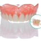 Karadent by TCS / Medium / Shade (N) Clear - 25mm