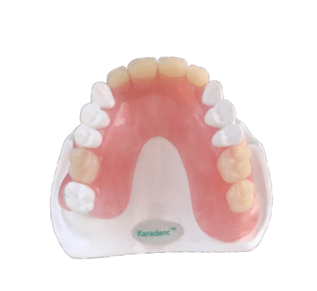TCS - Sample Model: Karadent™