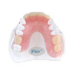 TCS - Sample Model: iFlex&trade;