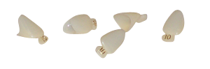 MARK3 Polycarbonate Crowns #300 5/pk.