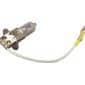 Beaverstate Dental Celux light bulb, 24V, 100 Watt Halogen Filament # CLX-011